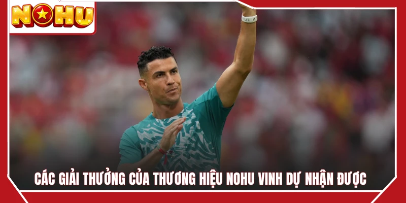 Các giải thưởng của thương hiệu NOHU vinh dự nhận được