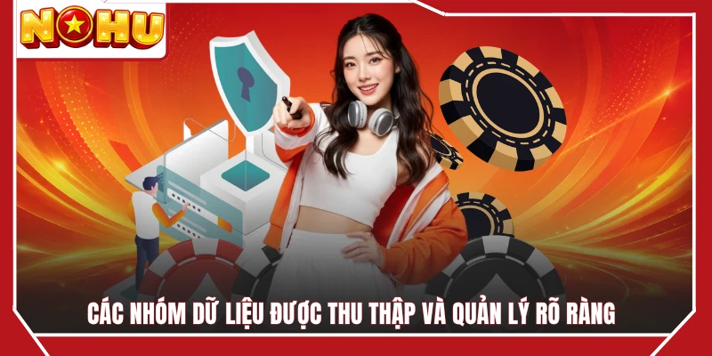 Các nhóm dữ liệu được thu thập và quản lý rõ ràng