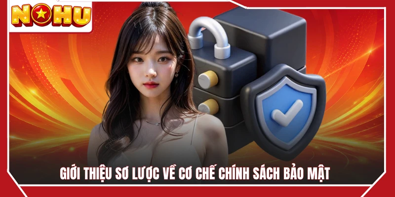 Giới thiệu sơ lược về cơ chế chính sách bảo mật
